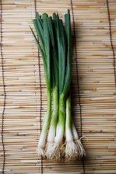 SCALLION COMPRESS