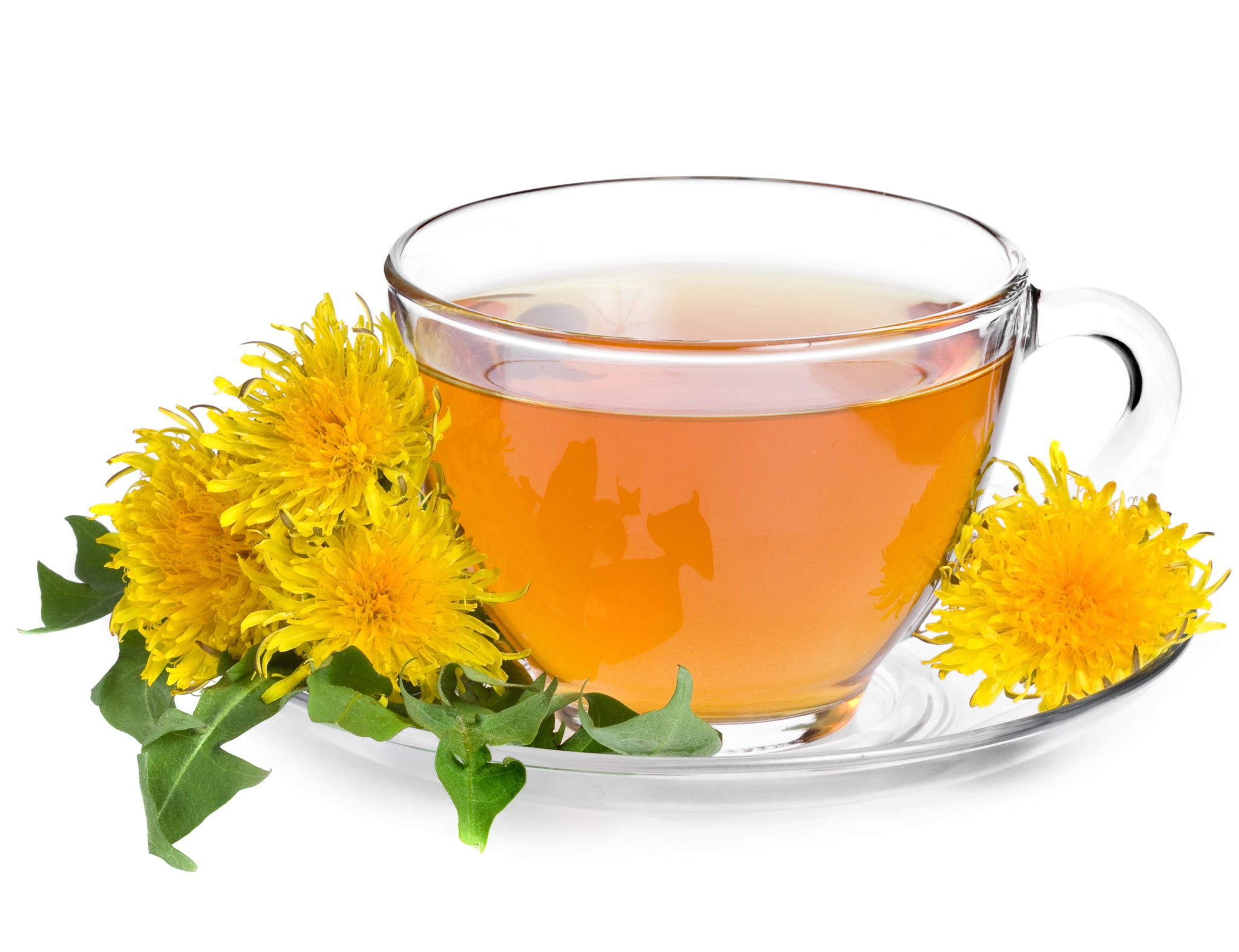 DANDELION TEA - TCM World