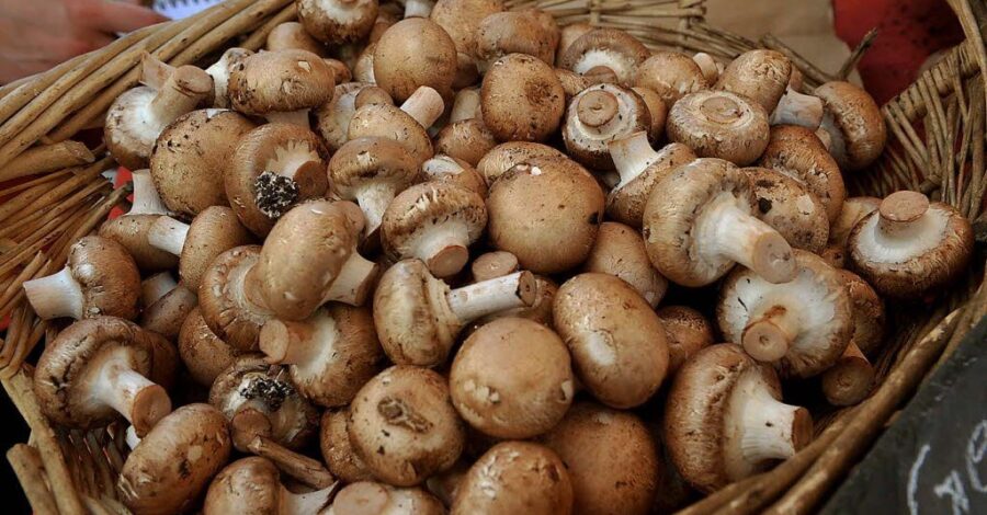 STUFFED CREMINI MUSHROOMS