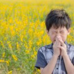 Avoid Allergies by Aligning With Nature