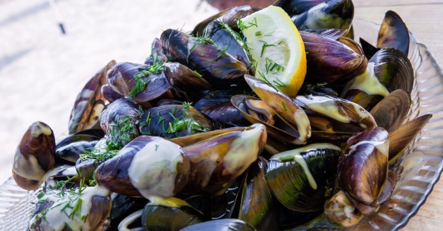 STEAMED MUSSELS