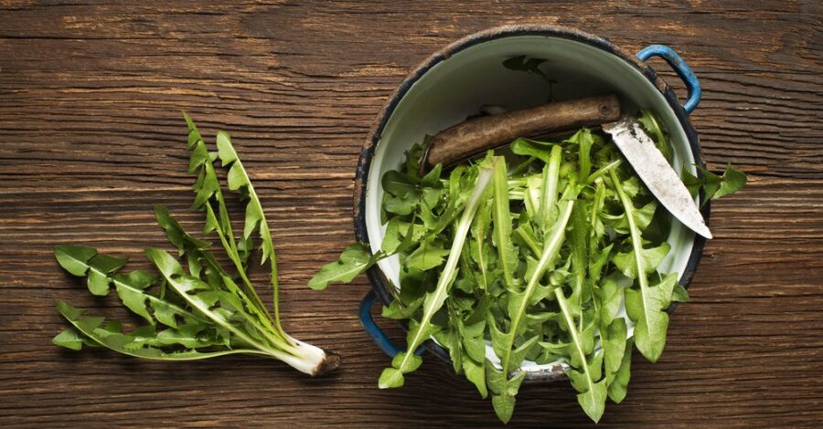 Healing Foods for Spring: Dandelion