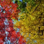 Fall’s Gifts and Nature’s Lessons