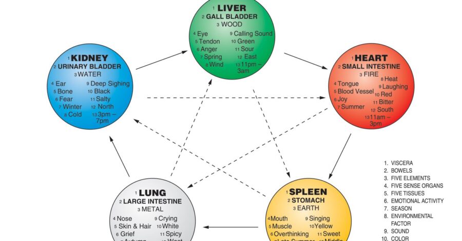 TCM: A Whole Body Specialty