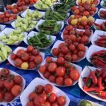 Trip to the Farmer’s Market