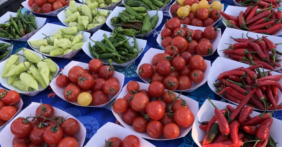 Trip to the Farmer’s Market