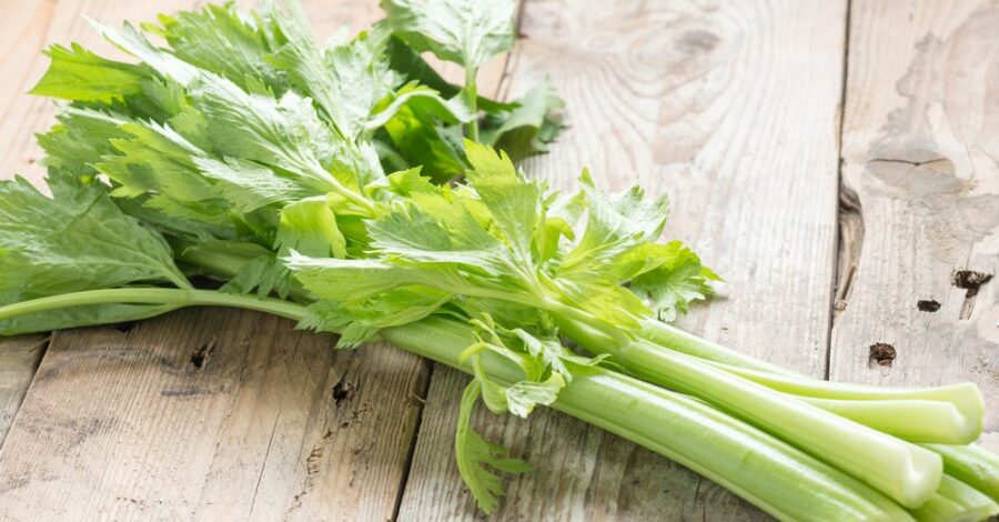 Celery: A Surprise Cure for Insomnia