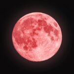 Qigong Practice in the Light of the Super Blood Wolf Moon
