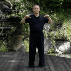 Dragon's Way Qigong