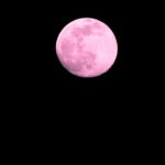 Pink Full Moon: Virtual Practice