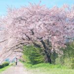 Becoming Nature’s Mirror in Spring