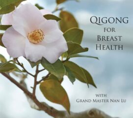 Qigong for Breast health video on demand