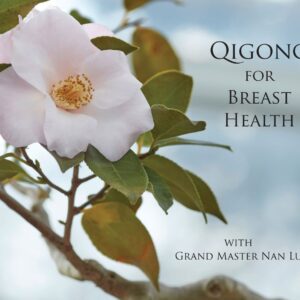 Qigong for Breast health video on demand