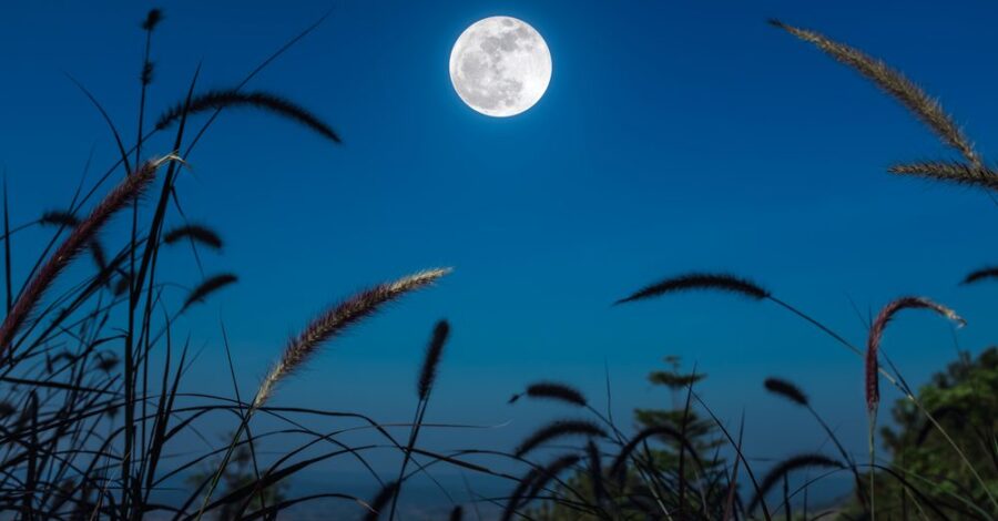 Connecting with the Moon’s Universal Energy