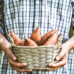 Sweet Potato: How Sweet It Is!