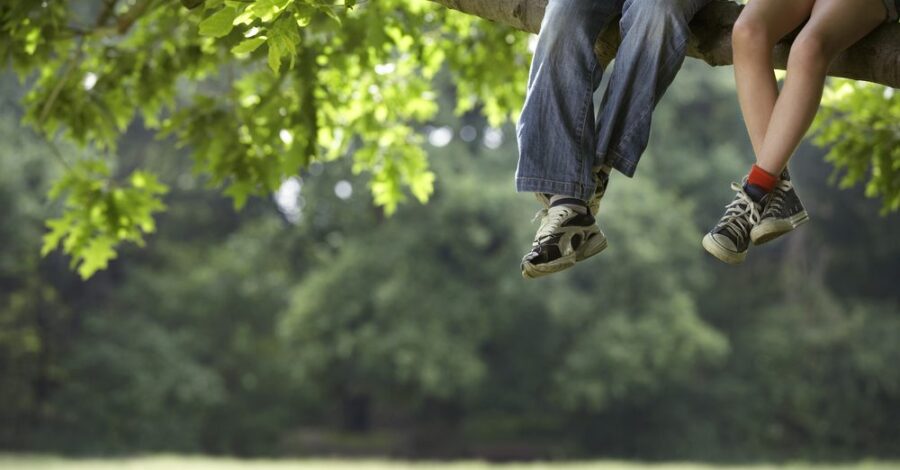 The Lifesaving Gift of Trees