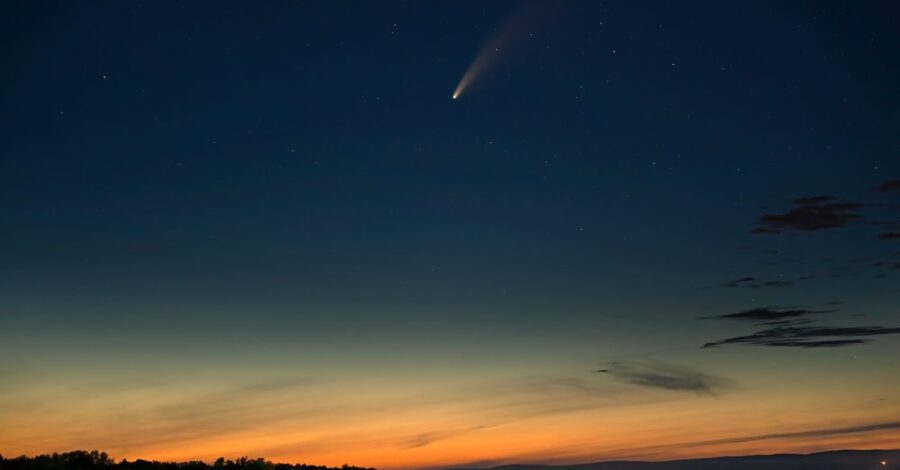 The Great Comet of 2020