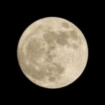 Celestial Gifts: Super Flower Moon and Total Lunar Eclipse