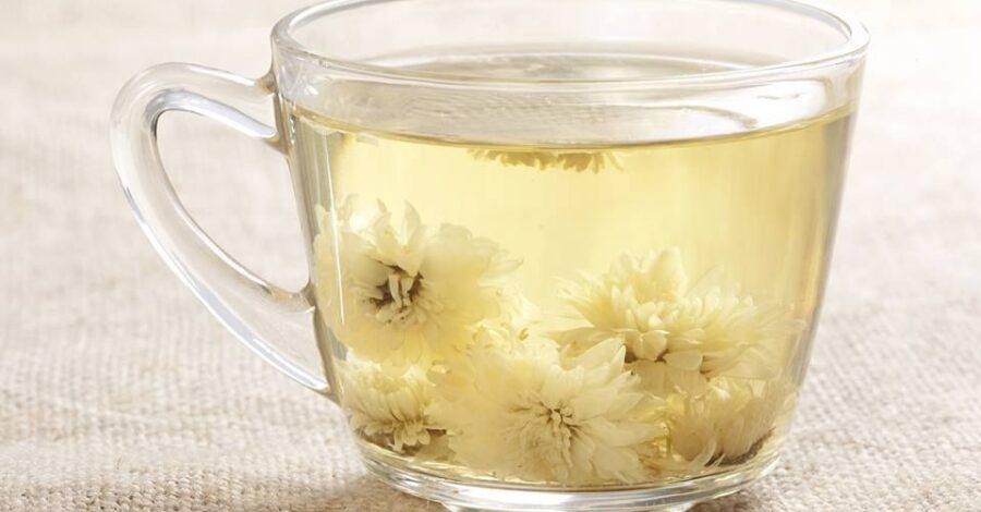 CHRYSANTHEMUM, GINGER TEA WITH HONEY