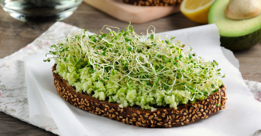 AVOCADO AND MUNG BEAN SPROUTS