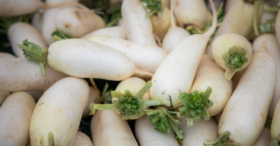 Daikon Radish: A Healing Superfood