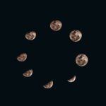 Women’s Health: Moon Family
