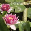 possibilities