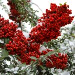 Winter Is Just Around the Corner