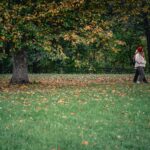 Ask Grand Master Nan Lu: Seasonal Wellness