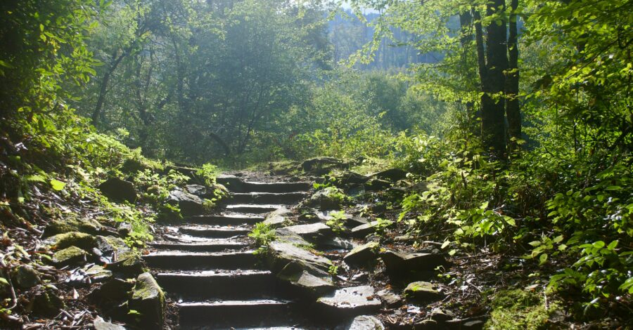 Finding Your Source: A Journey of Trust and Faith