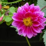 Friday Tip: The Power of the Heart