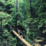 Tips for Late Summer Balance