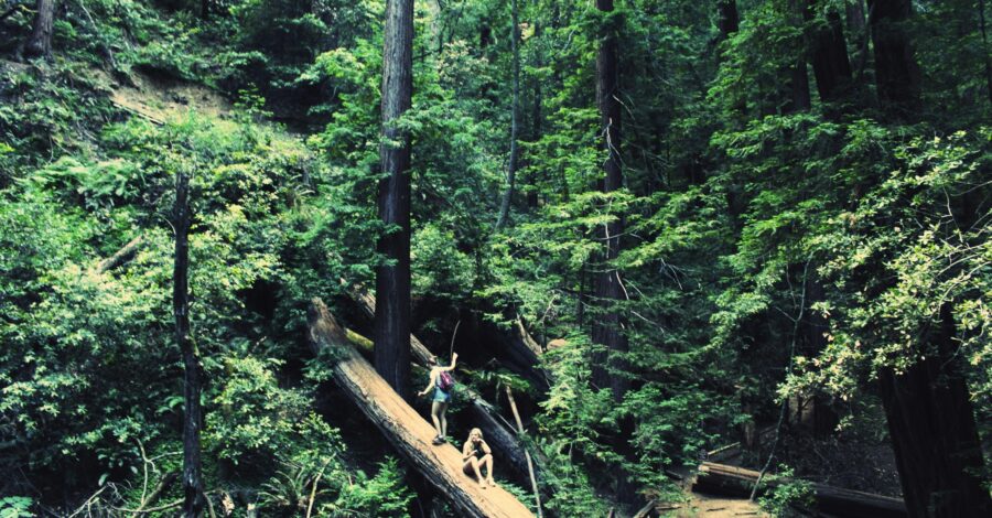 Tips for Late Summer Balance