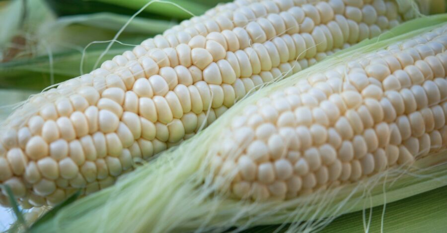 Corn Silk: The Secret Superstar
