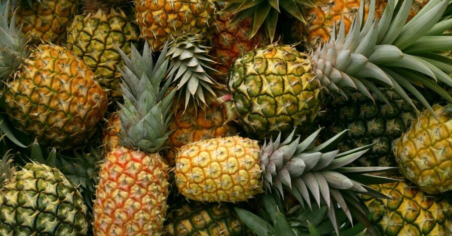Pineapple: A Taste of Summer Sweetness