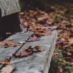 Fall: A Time to Create Balance