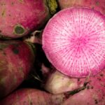 Fall Cooking: Radish Pickles