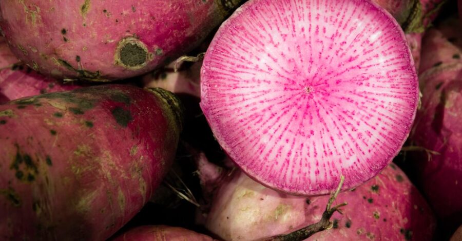 Fall Cooking: Radish Pickles