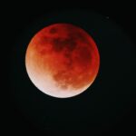 November’s Blood Moon