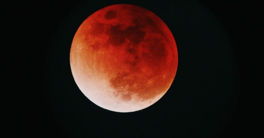 November’s Blood Moon