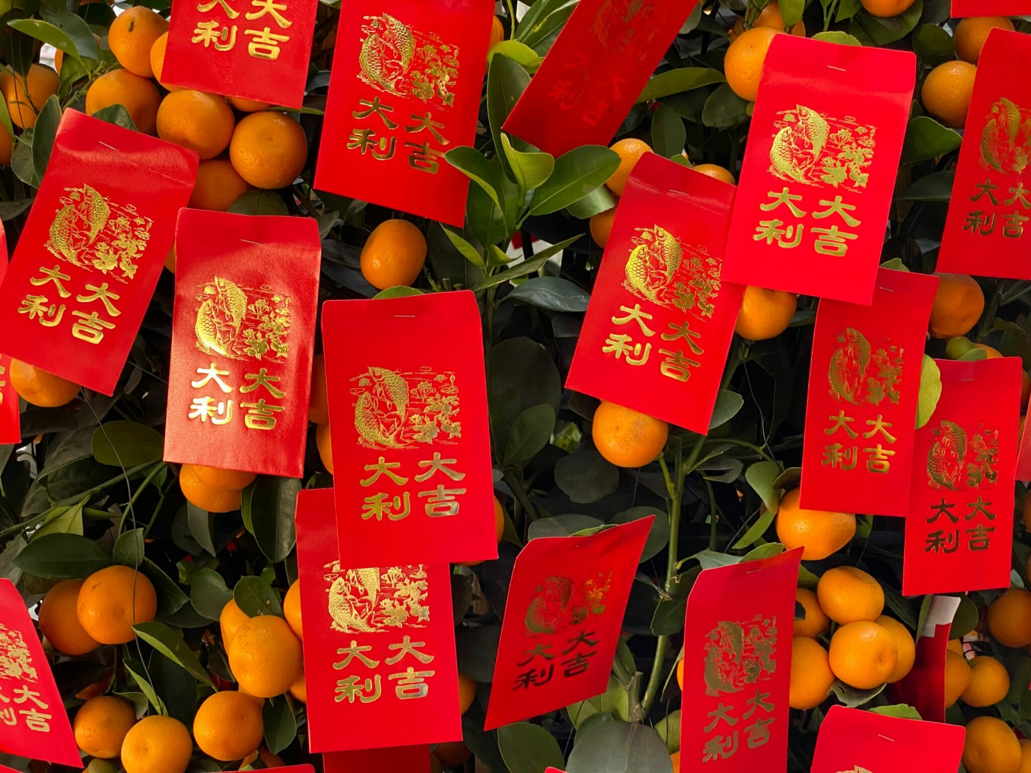 What is Chinese New Year? Plus 8 Symbolic Foods to Help You Celebrate