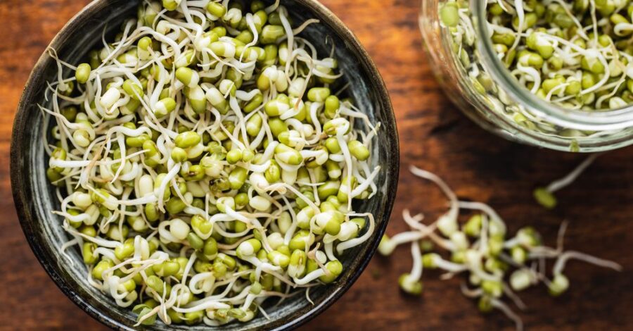 How to Sprout Mung Beans