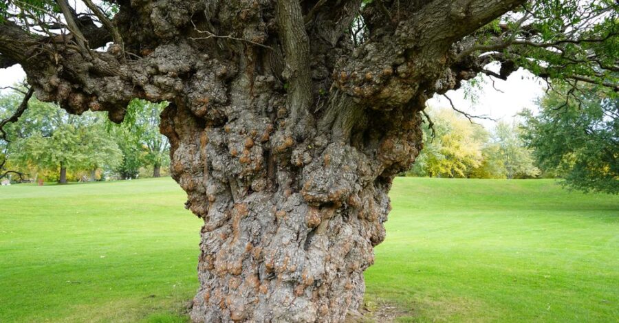 Nature Knows: Stress