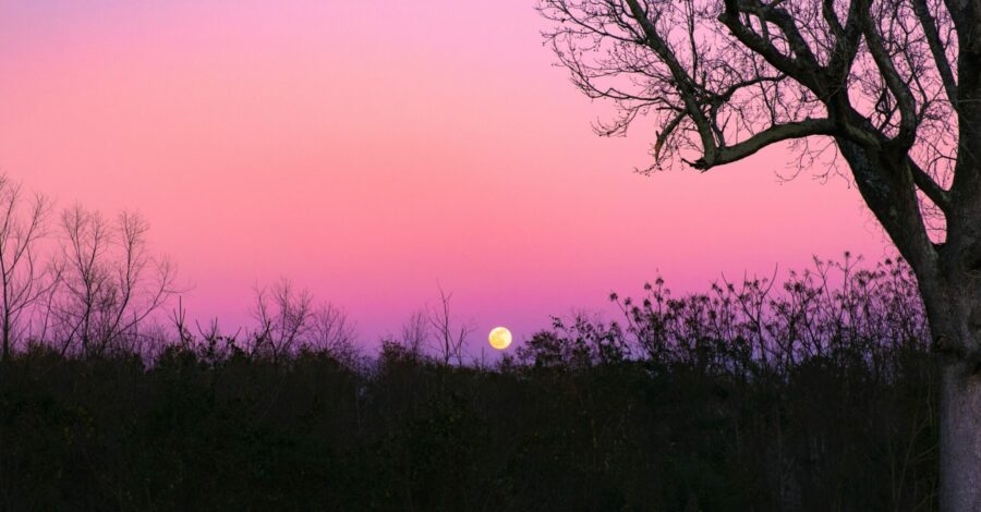 April’s Full Pink Paschal Moon