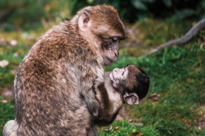 In many ways, Nature's relationships mirror our human relationships. Mothers—animal and human alike—give and give. Follow these tips to nurture yourself.