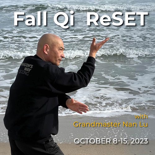 Fall Qi Reset