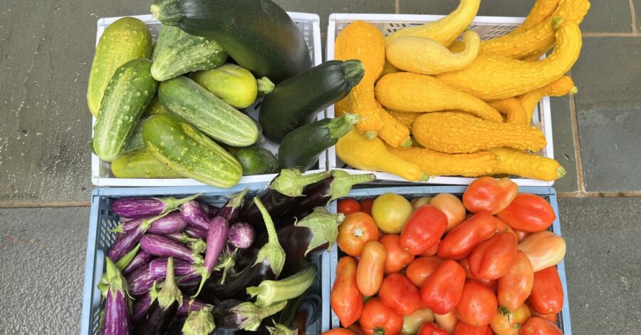 Late Summer Cooking: Fresh From the Garden