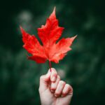 Fall’s Gifts and Nature’s Lessons