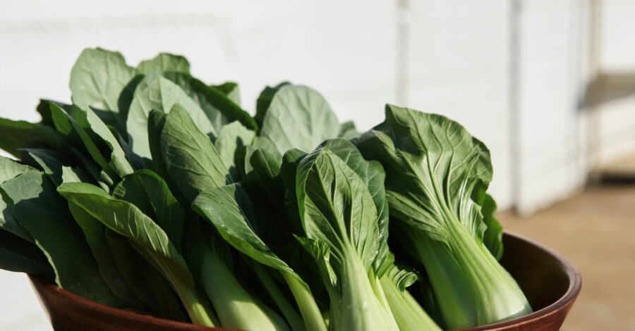 Bok Choy: A Liver-Loving Food!