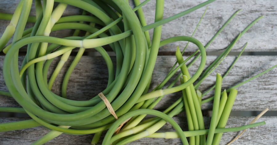 Eating for Healing: Garlic Scapes